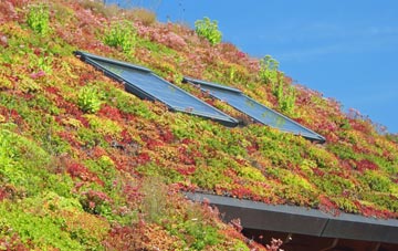 Burgh Le Marsh living roof systems